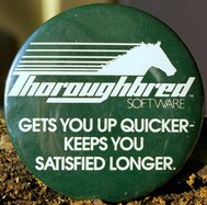 Thumbnail: Thoroughbred_UpQuicker.JPG